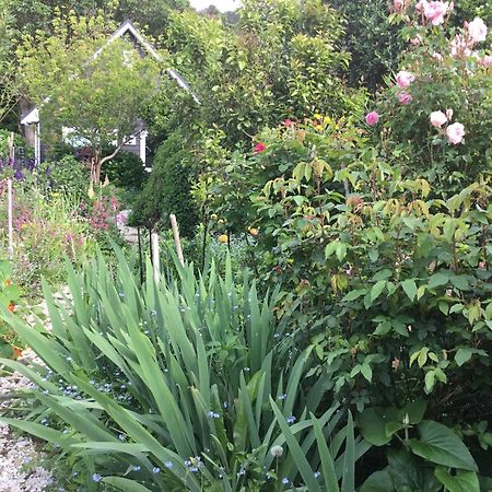 Hahei Kereru Cottage Bagian luar foto